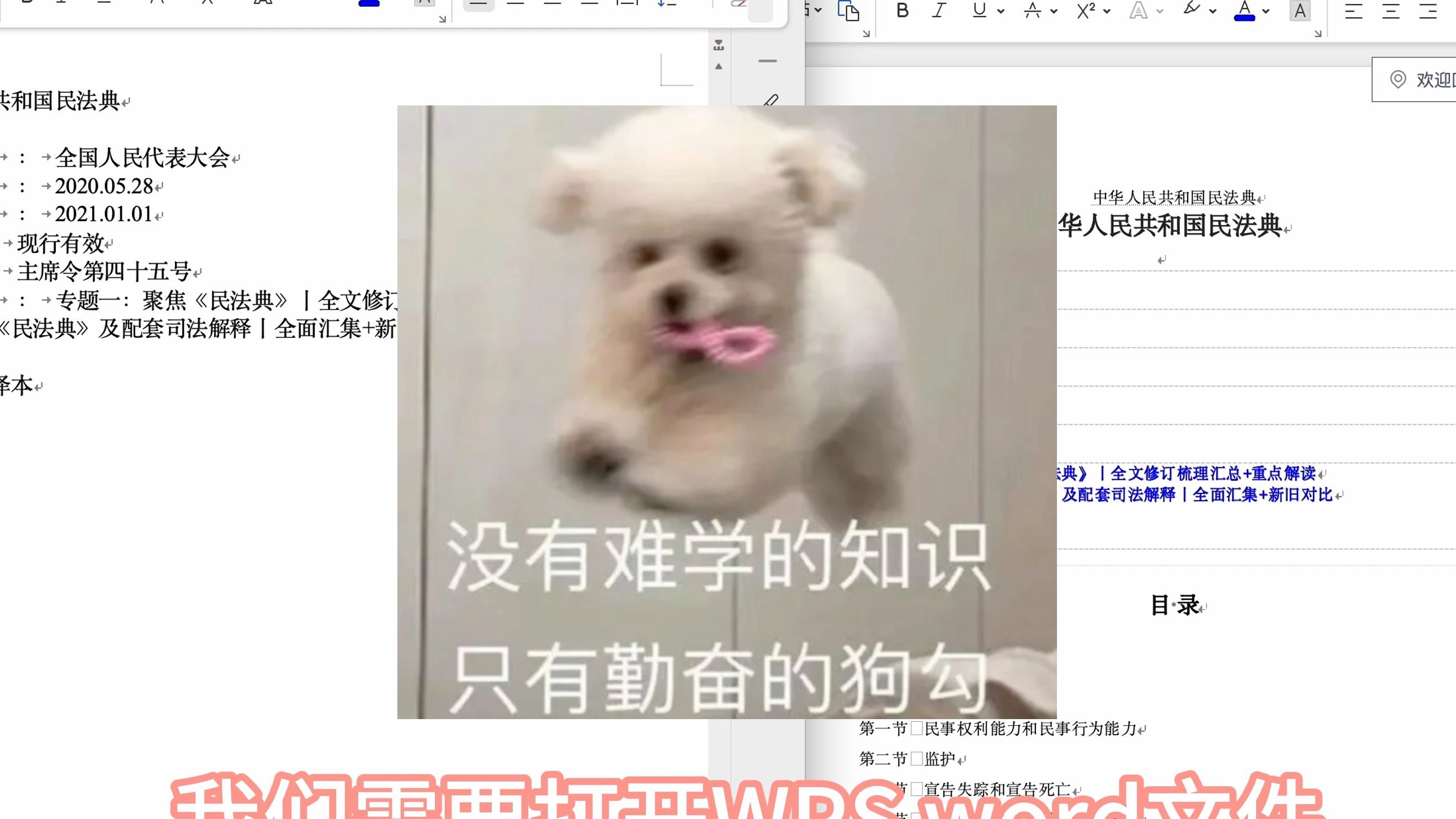 WPS无格式文本粘贴设置【Mac】