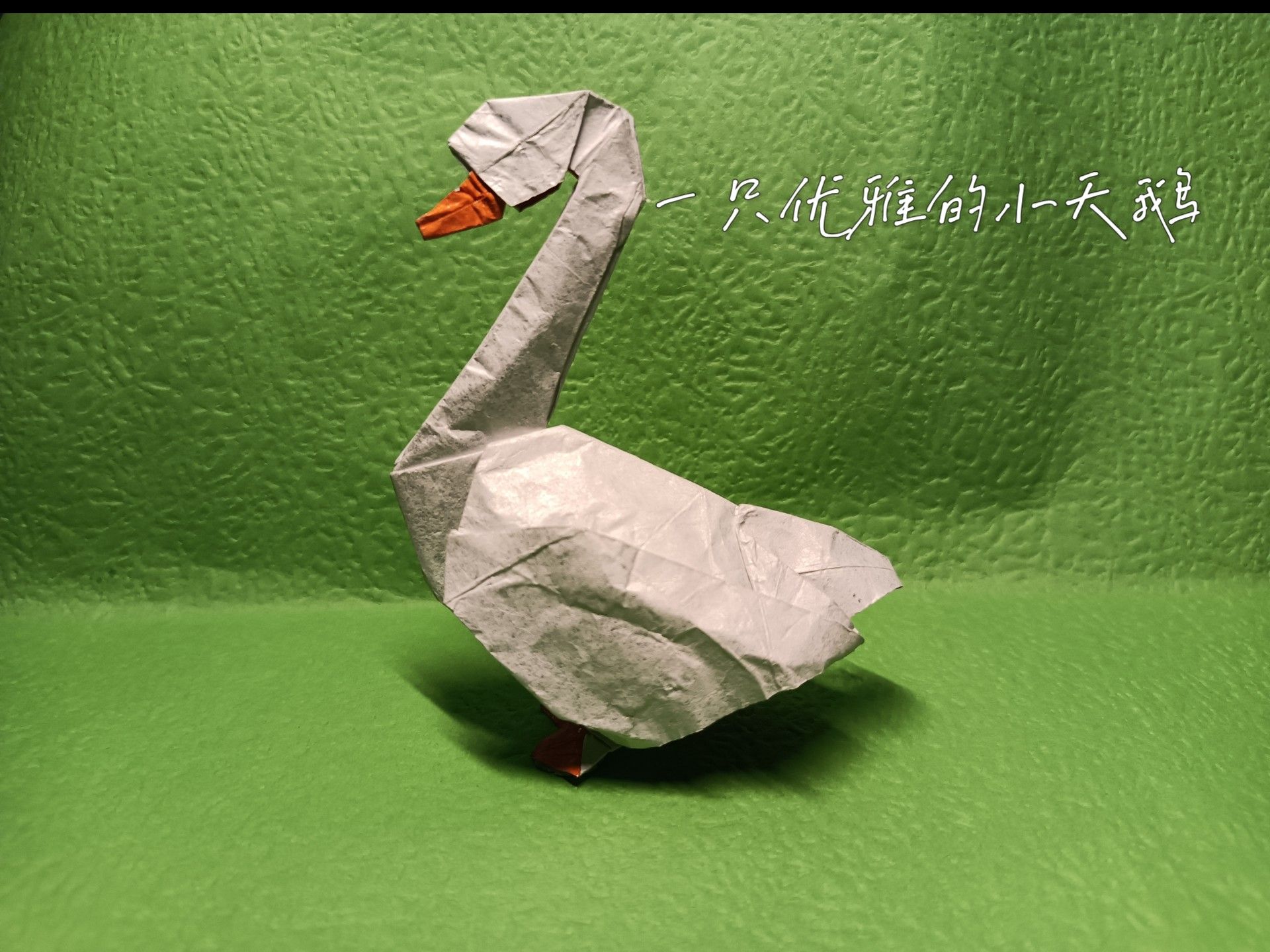 (稳妥折纸俱乐部第三季) 萩原元鸭子 (天鹅) 折纸教程