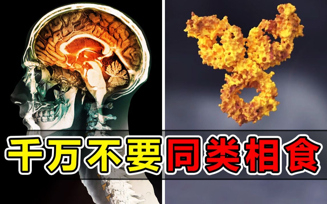 致死率100%！为了防止同类相食现象，上帝给人类创造了朊病毒
