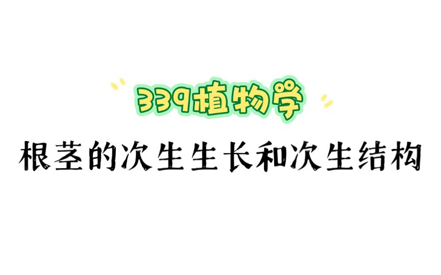 339考研植物学｜双子叶植物根和茎的次生生长和次生结构