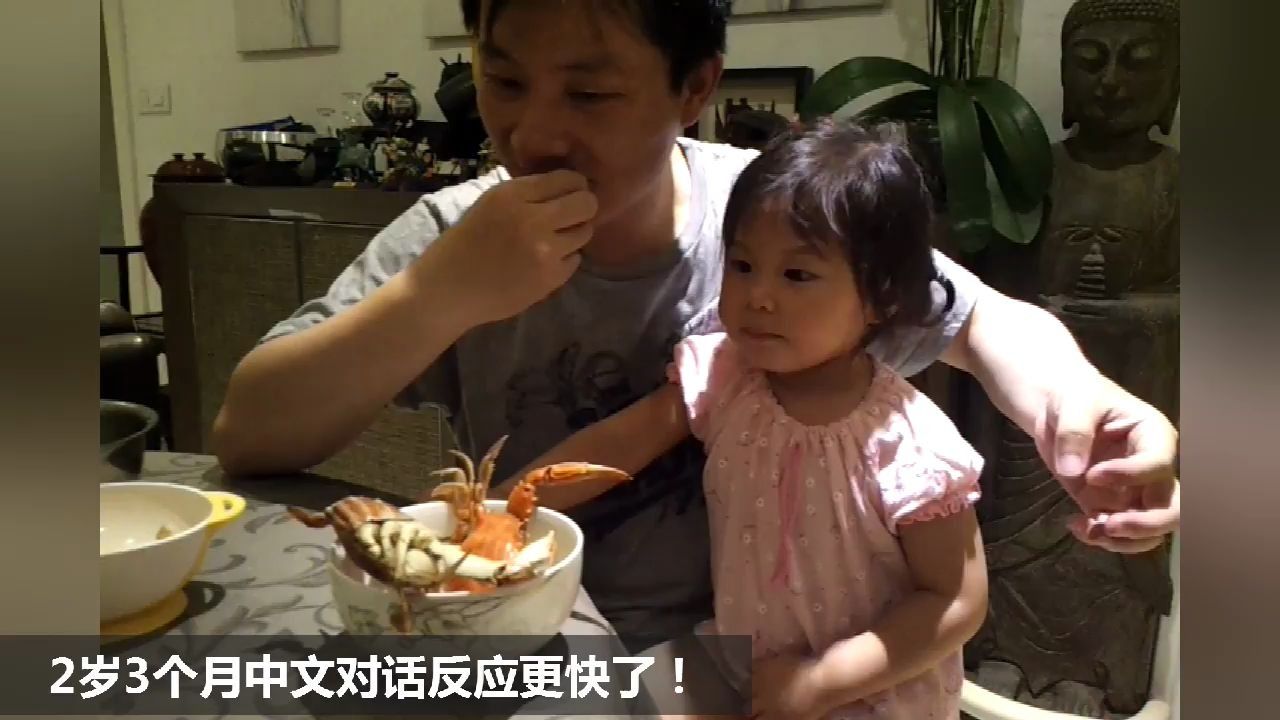 如何培养一个熟练掌握五国语言的宝宝，1岁到6岁母语与外语学习视频