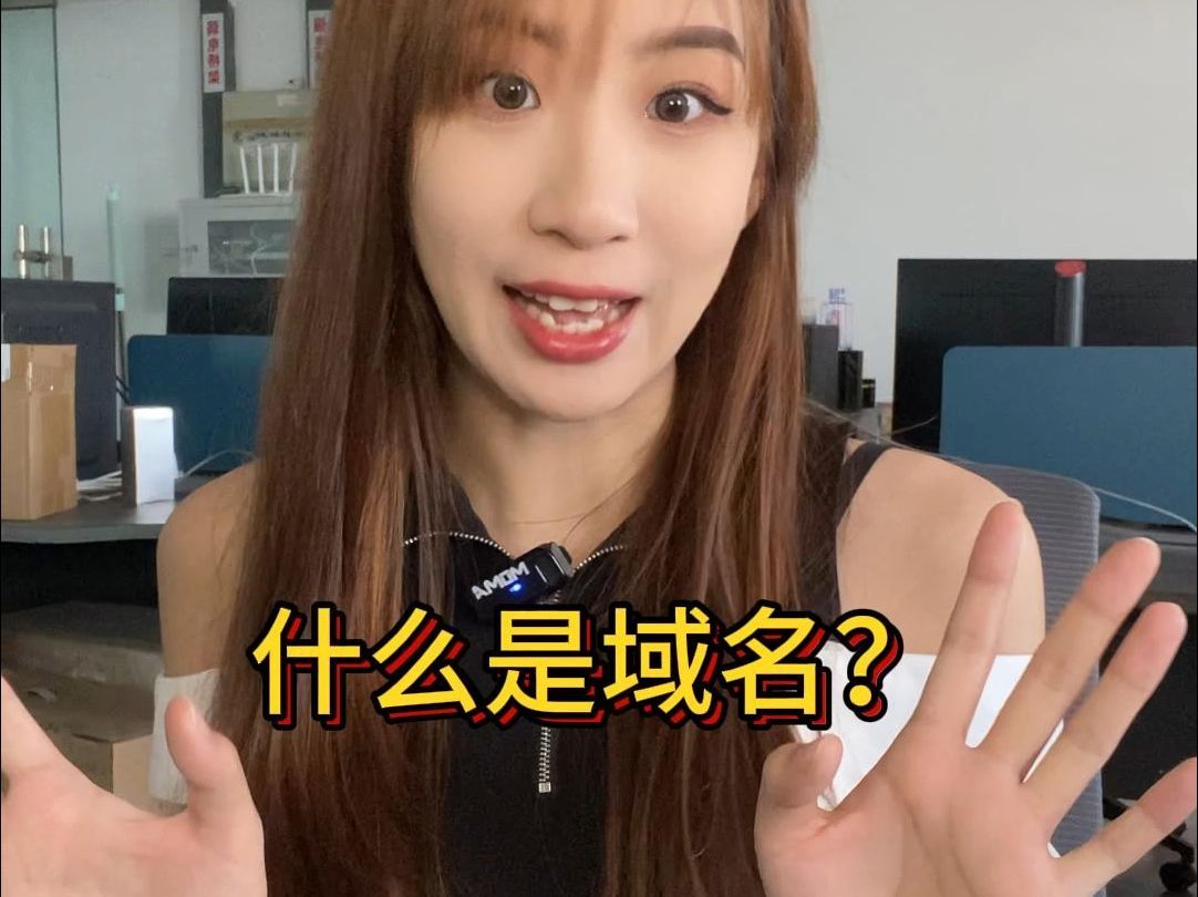 什么是域名？