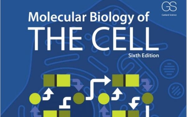 和我一起学习molecular biology of the cell Chapter 2 part 7