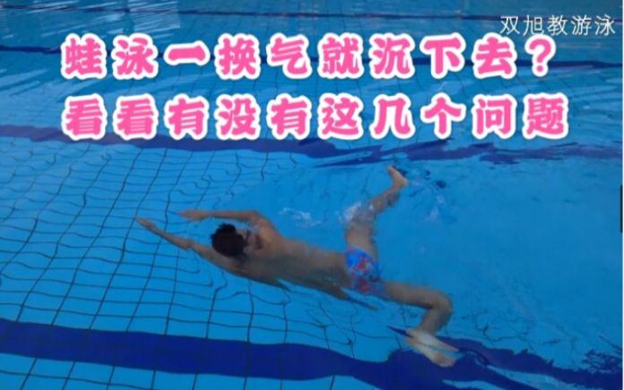 蛙泳为啥一换气就沉下去！！别慌，问题就出在这里！大家来对号入座哈哈哈！！！