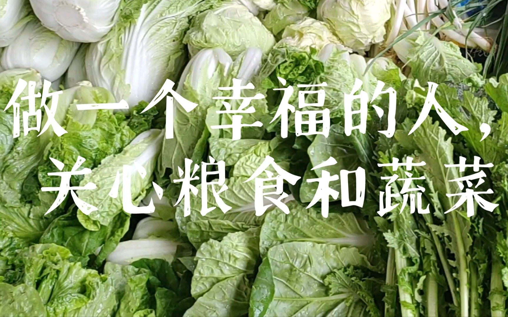 “从今天起，做一个幸福的人，关心粮食和蔬菜”