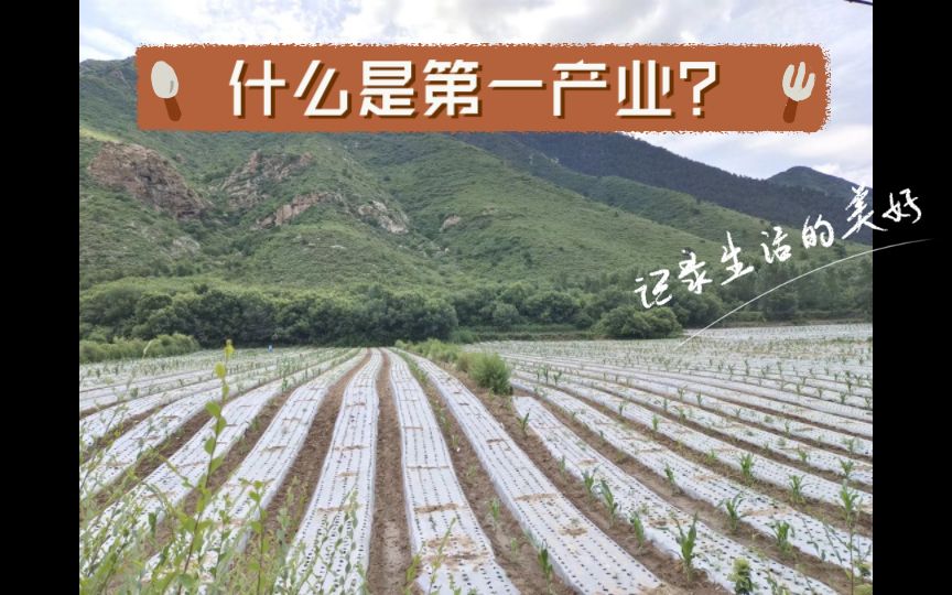 什么是第一产业？