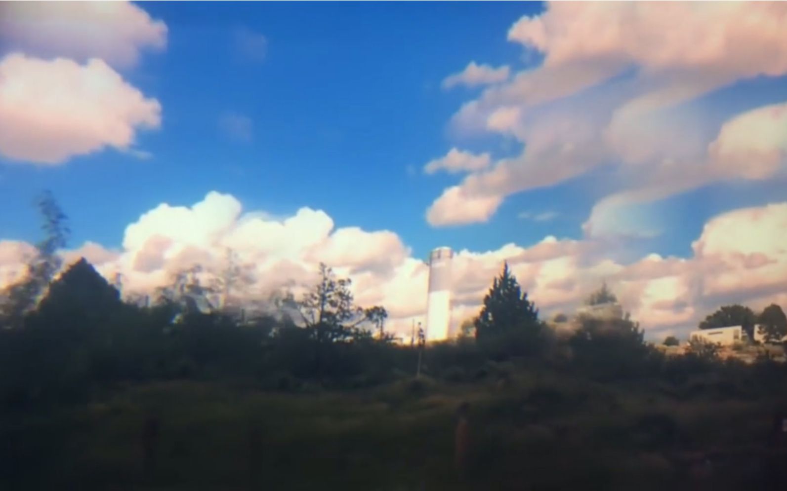 Ontario Gothic-Foxes in Fiction