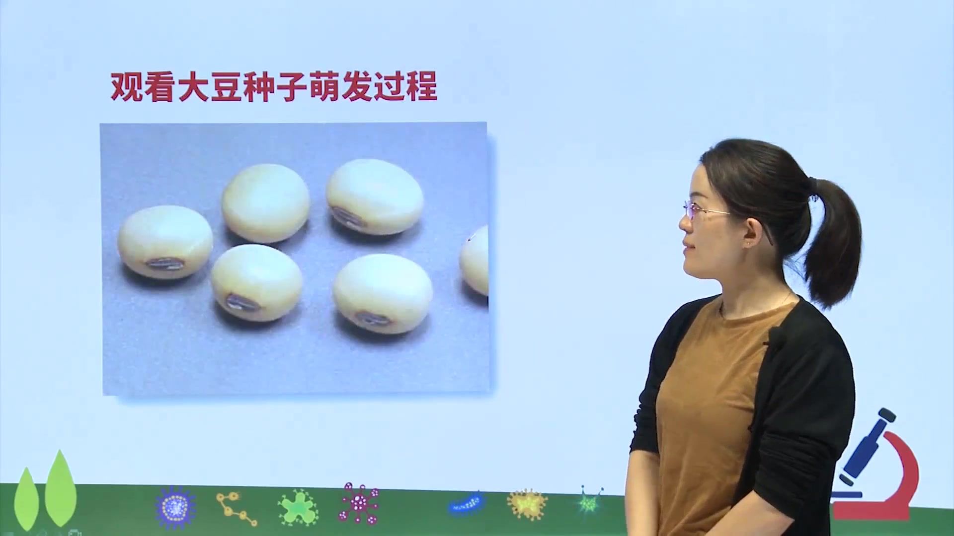 初中七年级生物：种子的萌发（第二课时），学会考试不丢分