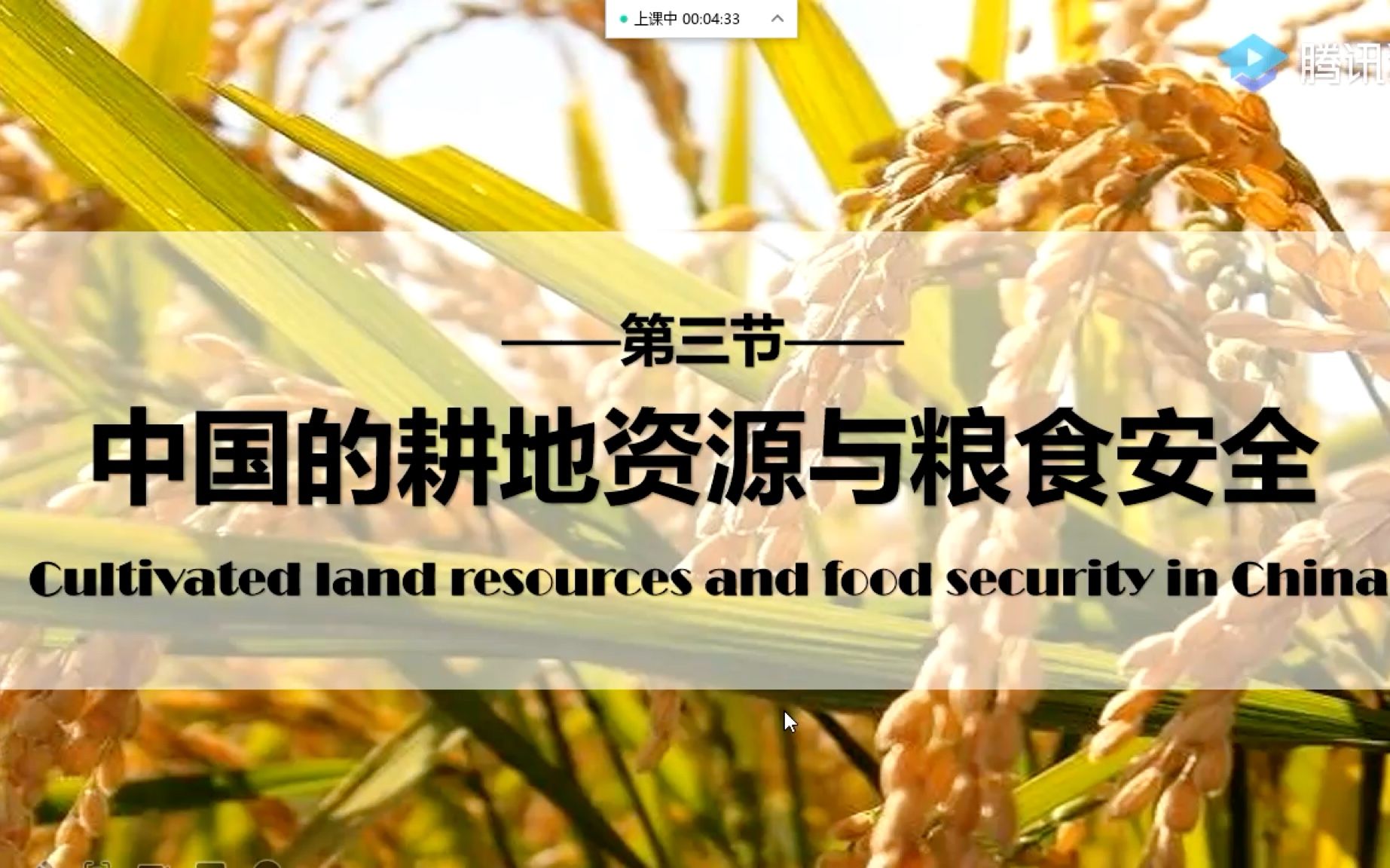 高中地理-《中国的耕地资源与粮食安全》