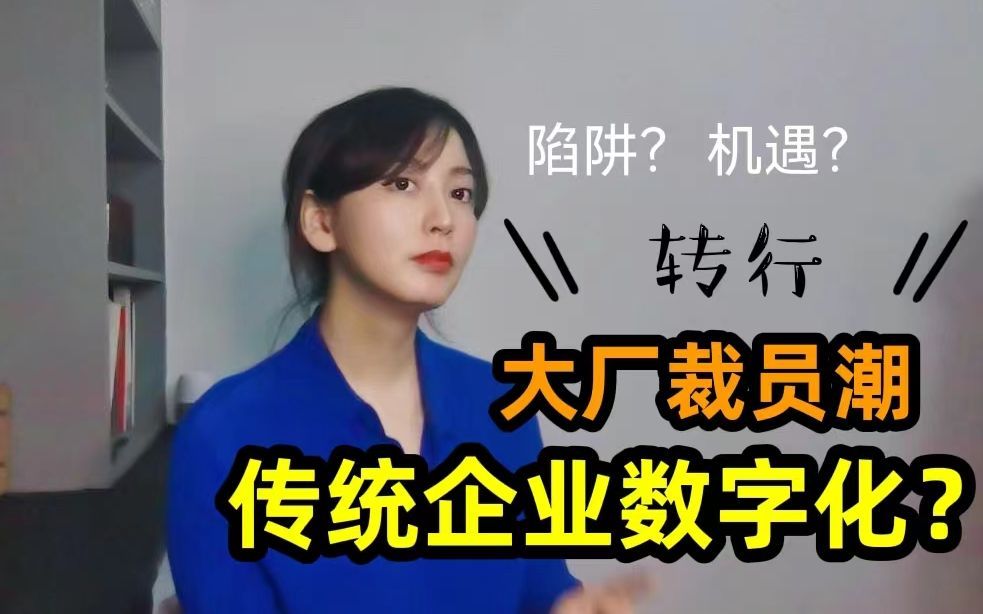 互联网裁员潮 转战传统企业数字化转型?打工人的机遇与陷阱 | 产品经理 LI道长的世界观13