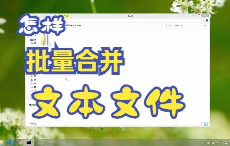 怎样批量合并文本文件