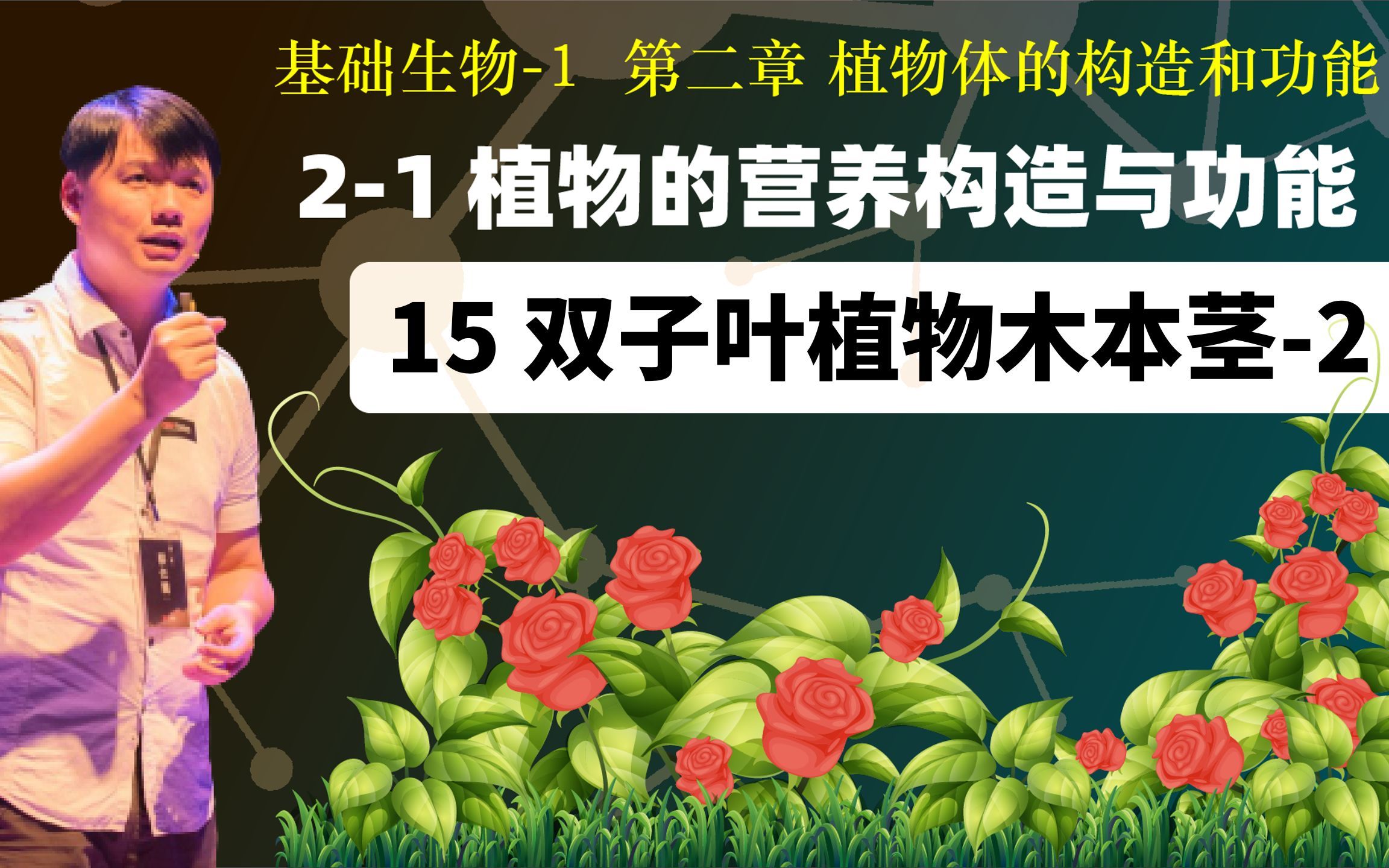 基础生物学 2-1.15双子叶植物木本茎（下）