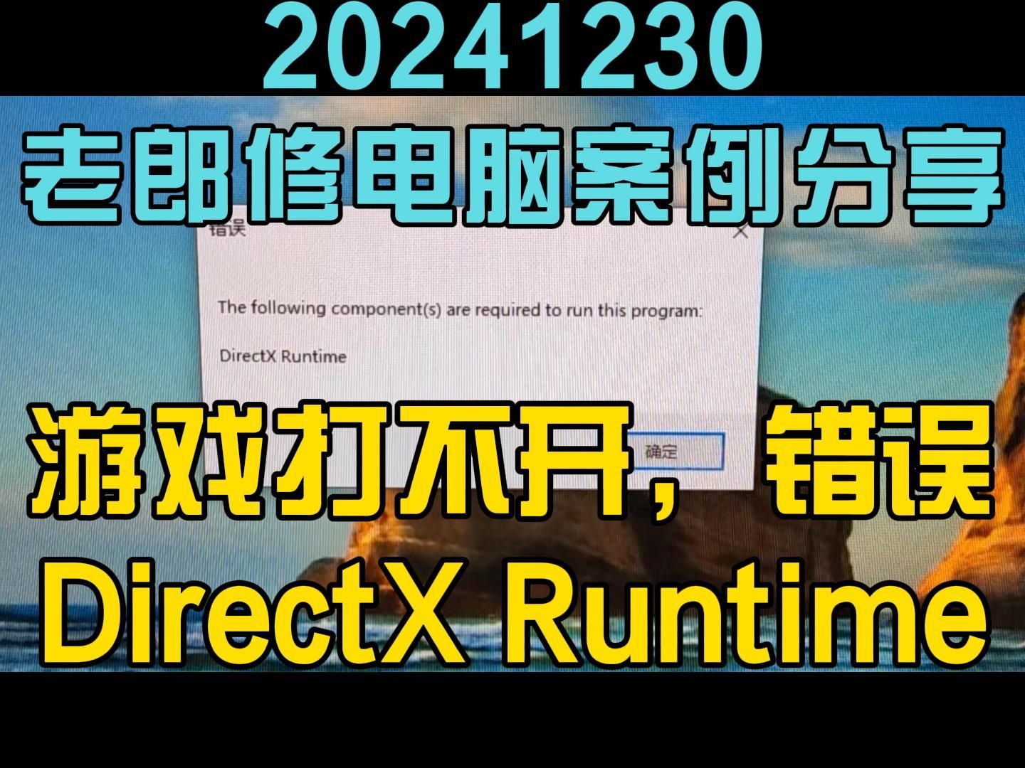 20241230游戏打不开错误DirectX Runtime