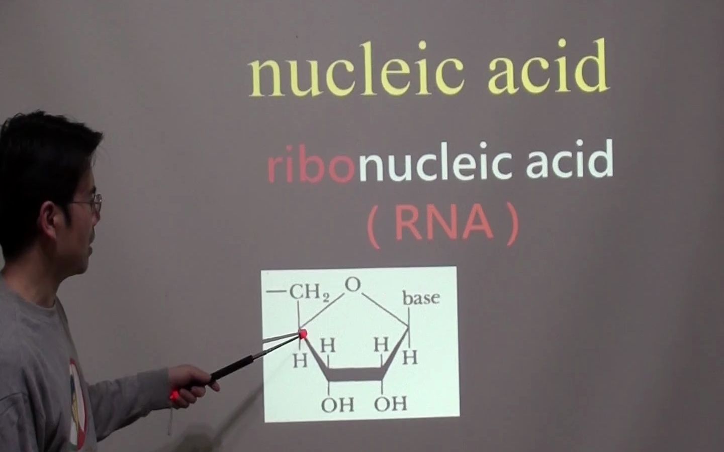 看英文学生物-看生物学英文-009- 核酸 核苷酸 嘌呤 嘧啶 nucleic acid  -s002 生物专业英文 -双语教学 bilingual 学中文