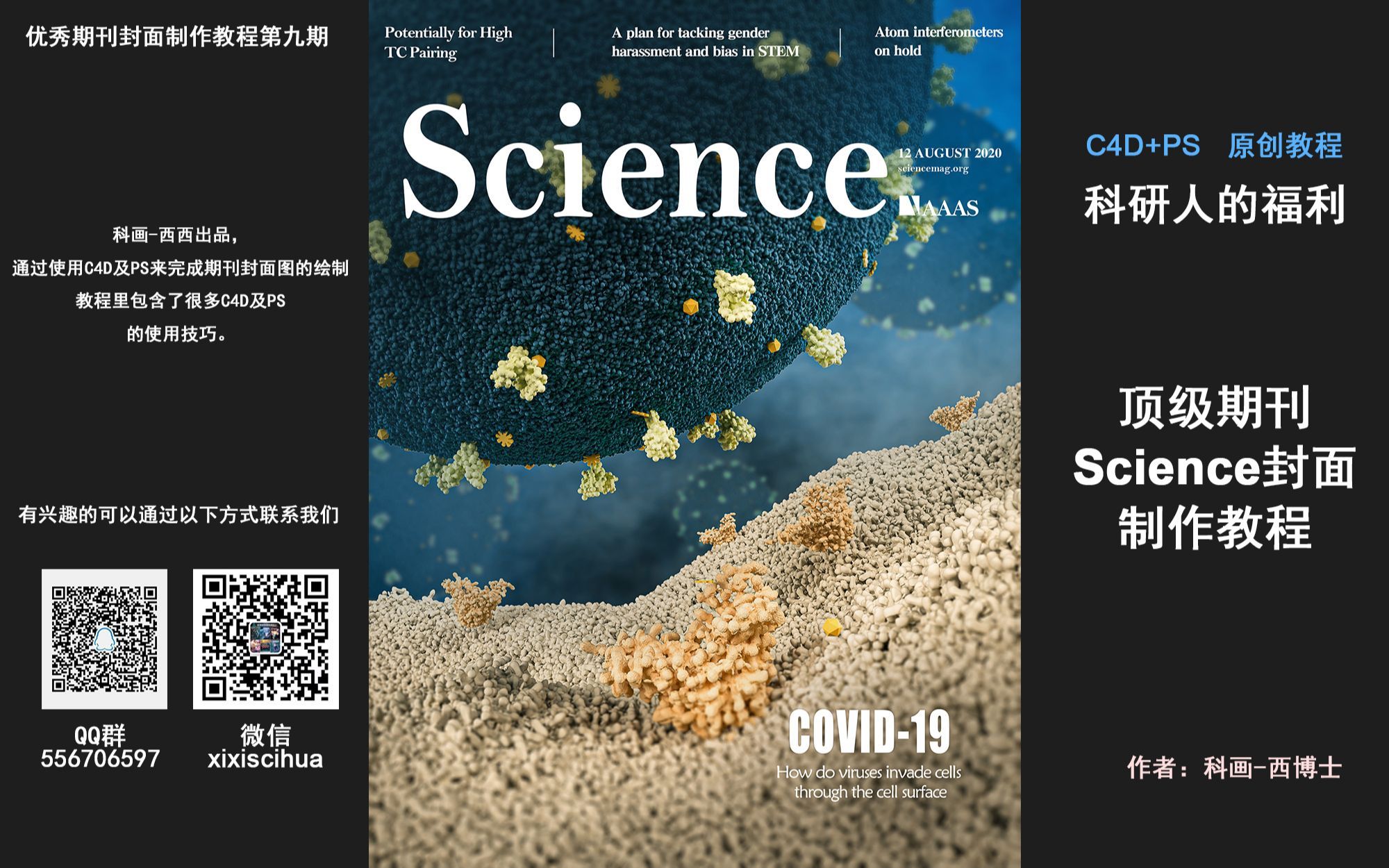 快来看看 科研绘图优秀期刊Science封面制作教程 科画西西第九期封面制作