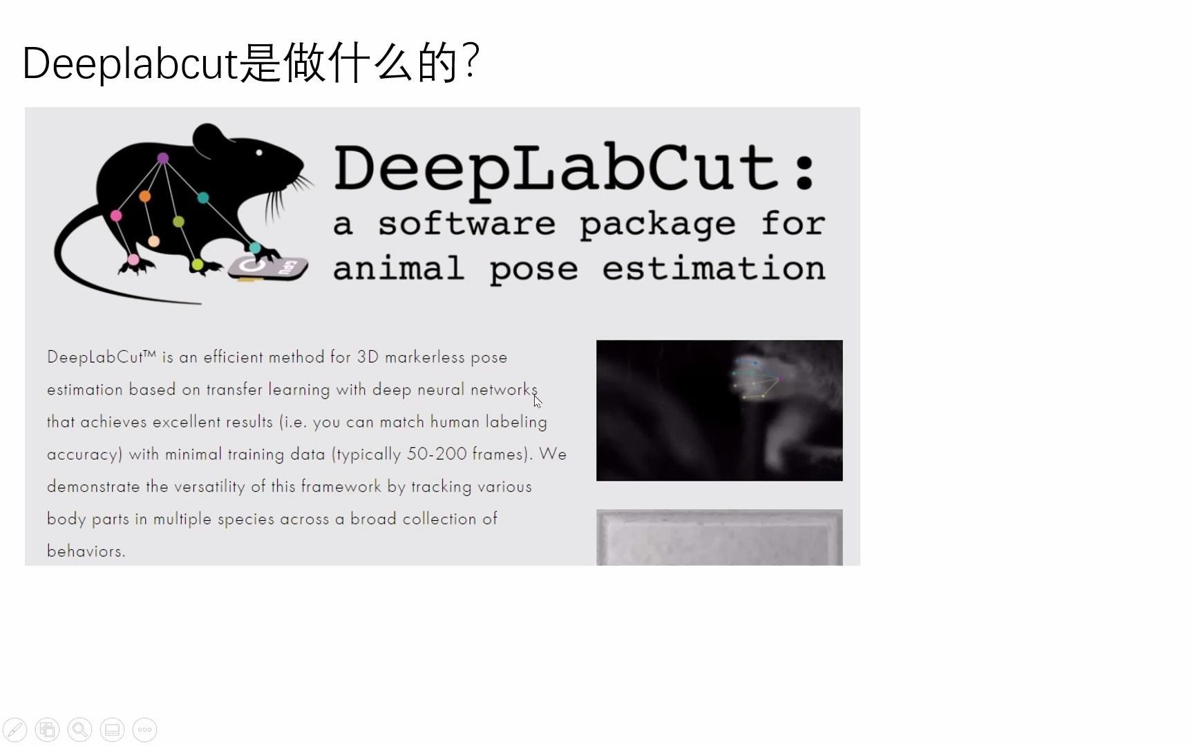 2.5小时入门DeepLabCut (2) Conceptual and Computational Frameworks