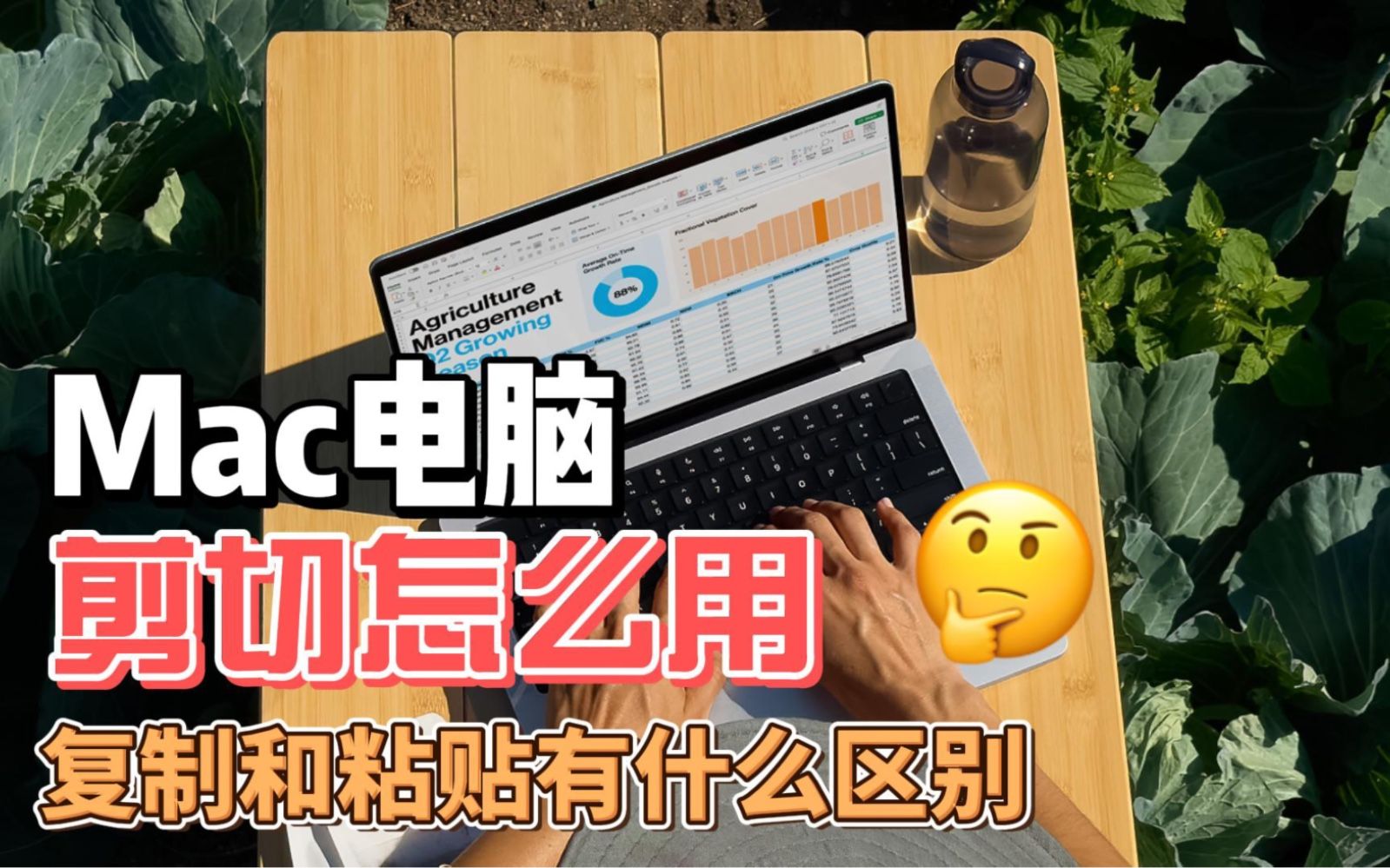 mac电脑的剪切，复制，拷贝到底怎么用？