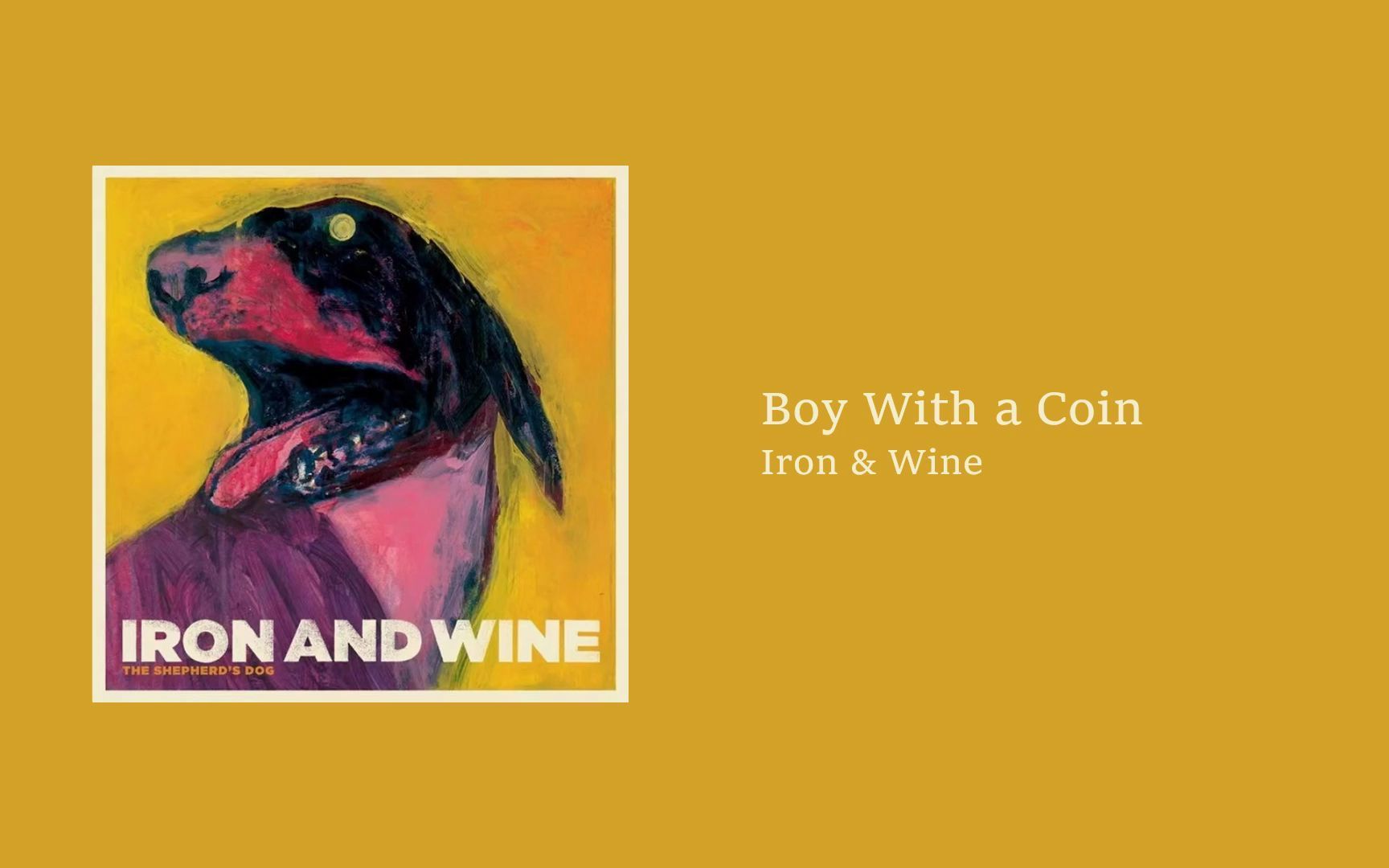我喜欢的音乐半日推 | Boy With a Coin - Iron & Wine | 小众但好听 | 节奏向