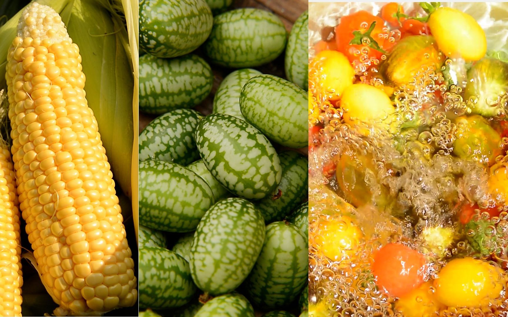 “关心粮食和蔬菜”
