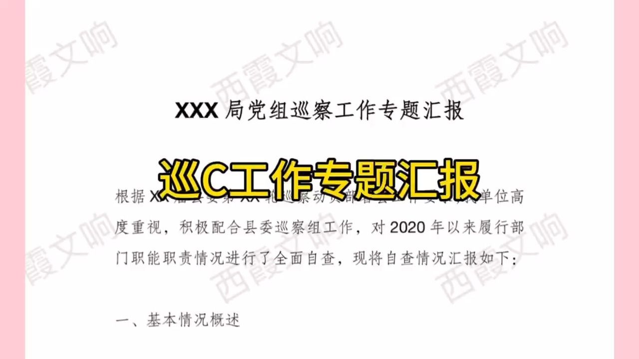XXX局党组巡察工作专题汇报