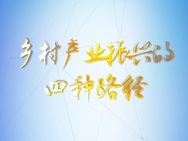 理论1点点｜乡村产业振兴的四种路径
