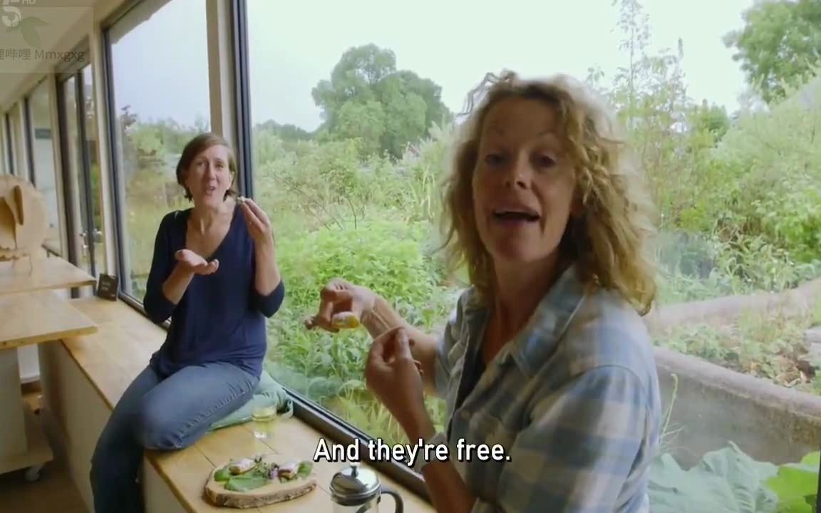 【英语听力 -英文字幕】经典英音 Escape To The Farm With Kate Humble