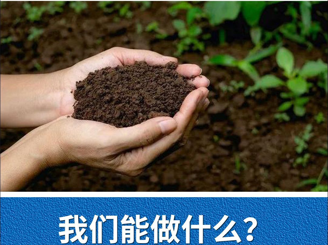 世界土壤日：守护每一寸土壤，与自然和谐共生！ #世界土壤日 #关爱土地