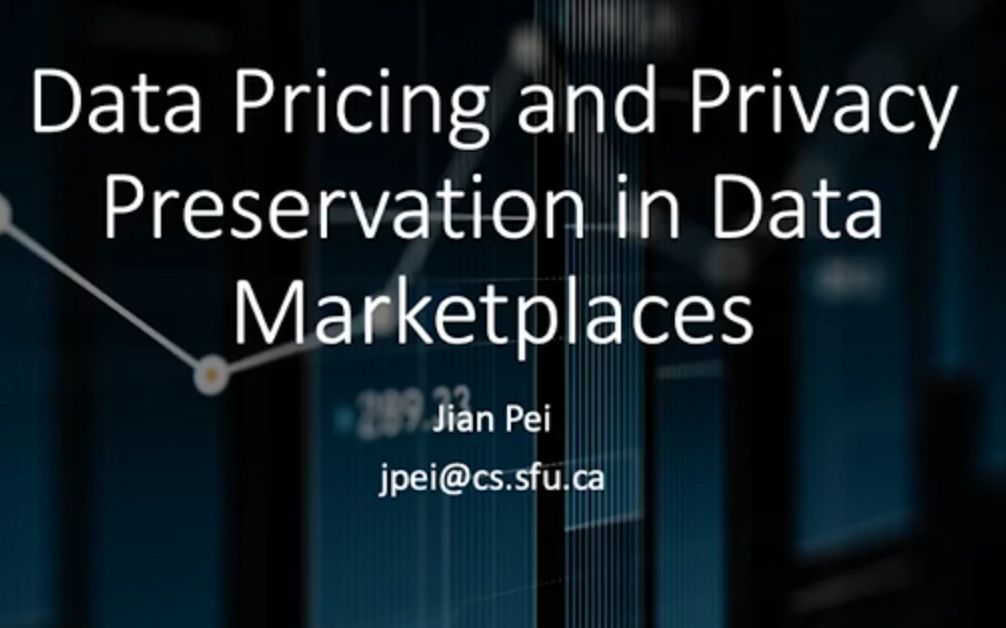 Data Pricing and Privacy Preservation in Data Marketplaces