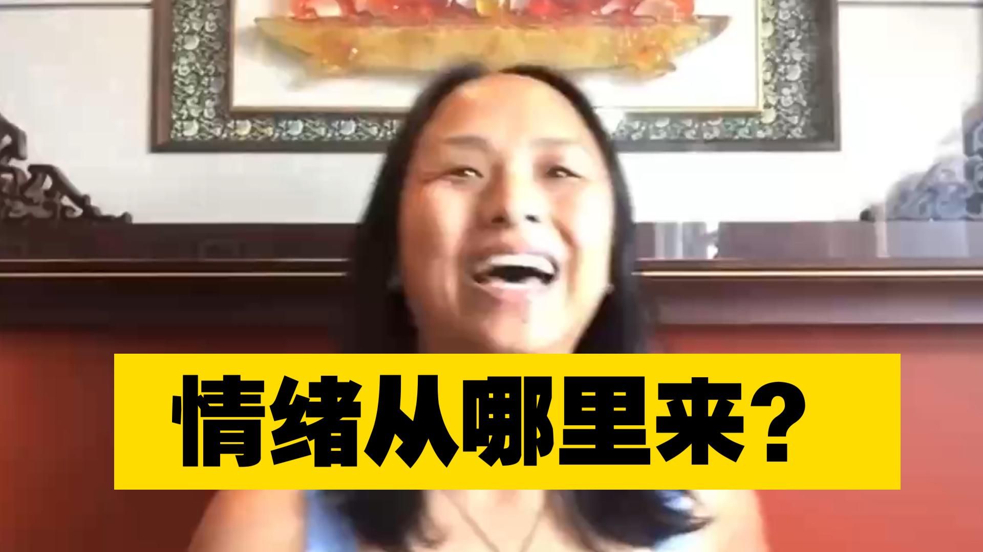 情绪从哪里来？抑制情绪和掌控情绪的区别是什么？搬运