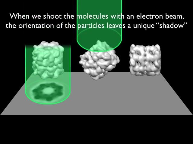 生物技术之三分钟了解冷冻电子显微镜