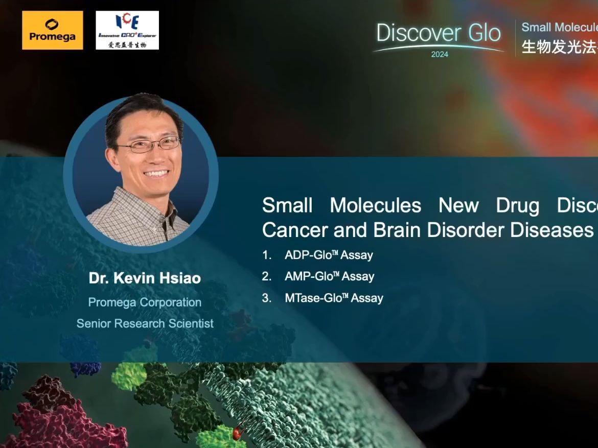 Small Molecules New Drug Discovery in Human Cancer and Brain Disorder Diseases