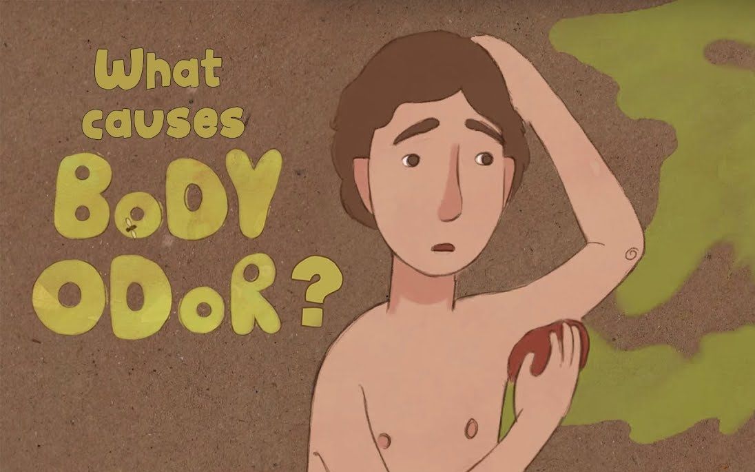 【TED-Ed】What.causes.body.odor.为什么会有体味.双语字幕.原创翻译