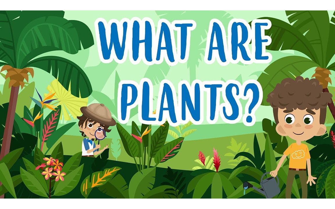 WHAT ARE PLANTS？ ｜ Educational Videos for Kids