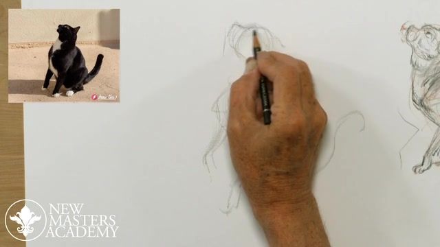 Animal Drawing  with Glenn Vilpp\Animal Drawing Part 2 Dogs & Cats
