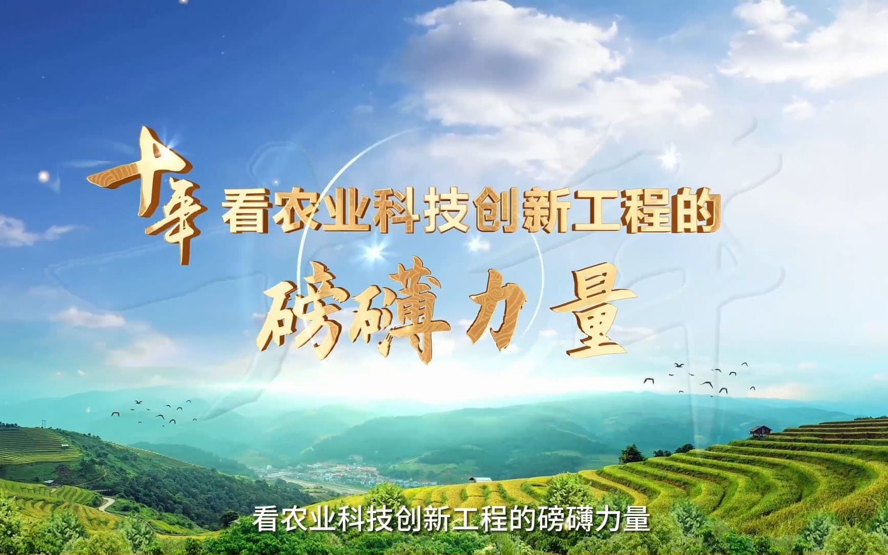 十年，看农业科技创新工程的磅礴力量