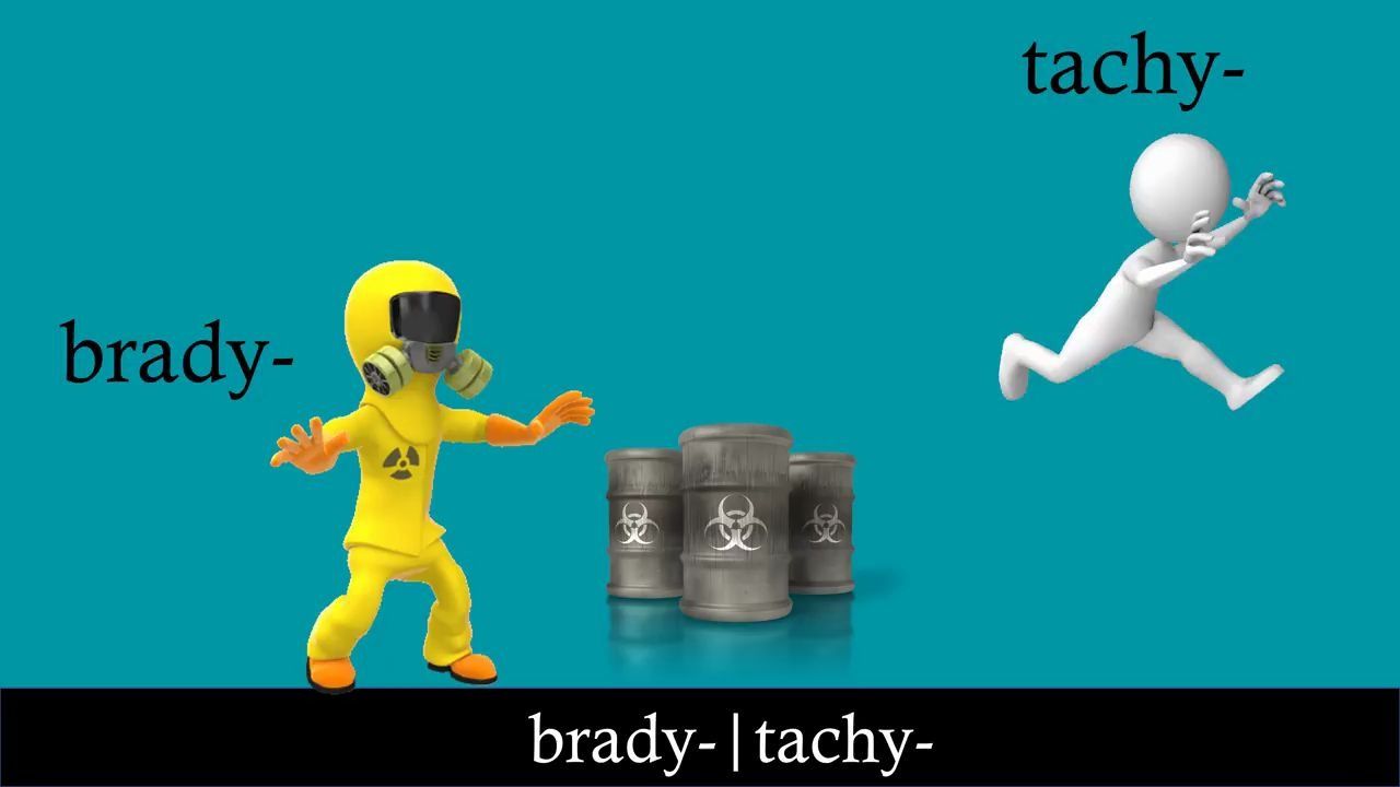 Learn  What Prefixes Brady- and Tachy- Mean In Medical Terminology