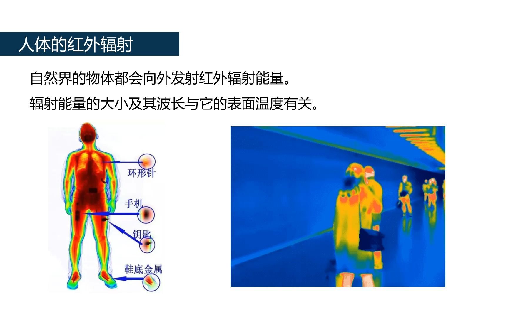 2.1知识与智慧