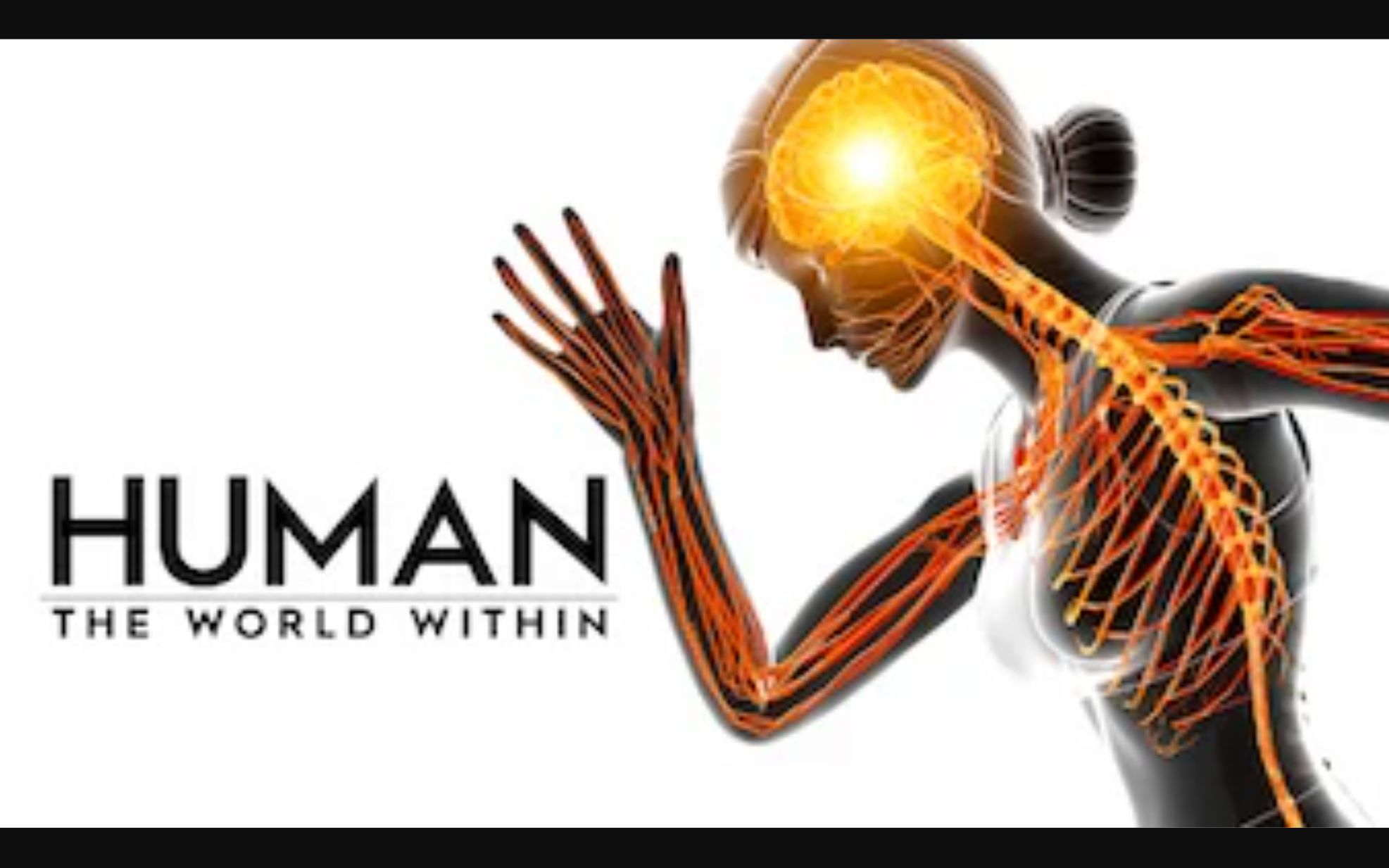 【PBS】人体大惊奇 全6集 1080P中英文双语字幕 Human The World Within