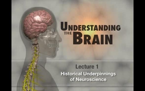 【TTC讲座】解析大脑 Understanding the Brain 36集【英语】