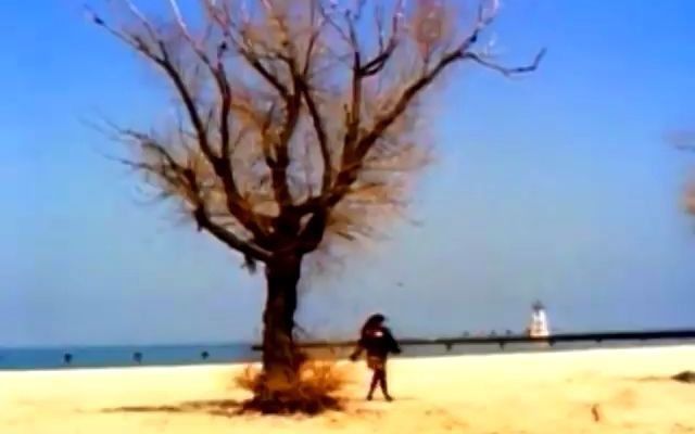 【Pavement】Range Life