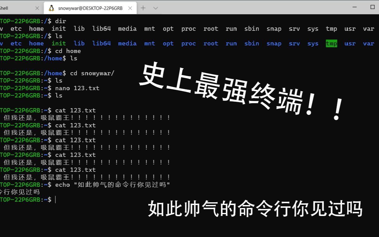 新版windows终端竟然如此强大与帅气，windows terminal 1.0安装教程