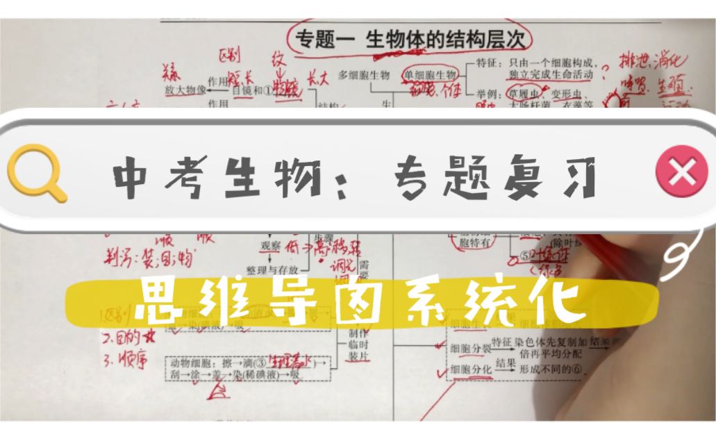 【中考生物】生物会考二轮复习之专题1：生物体的结构层次 | 思维导图系统化查漏补缺