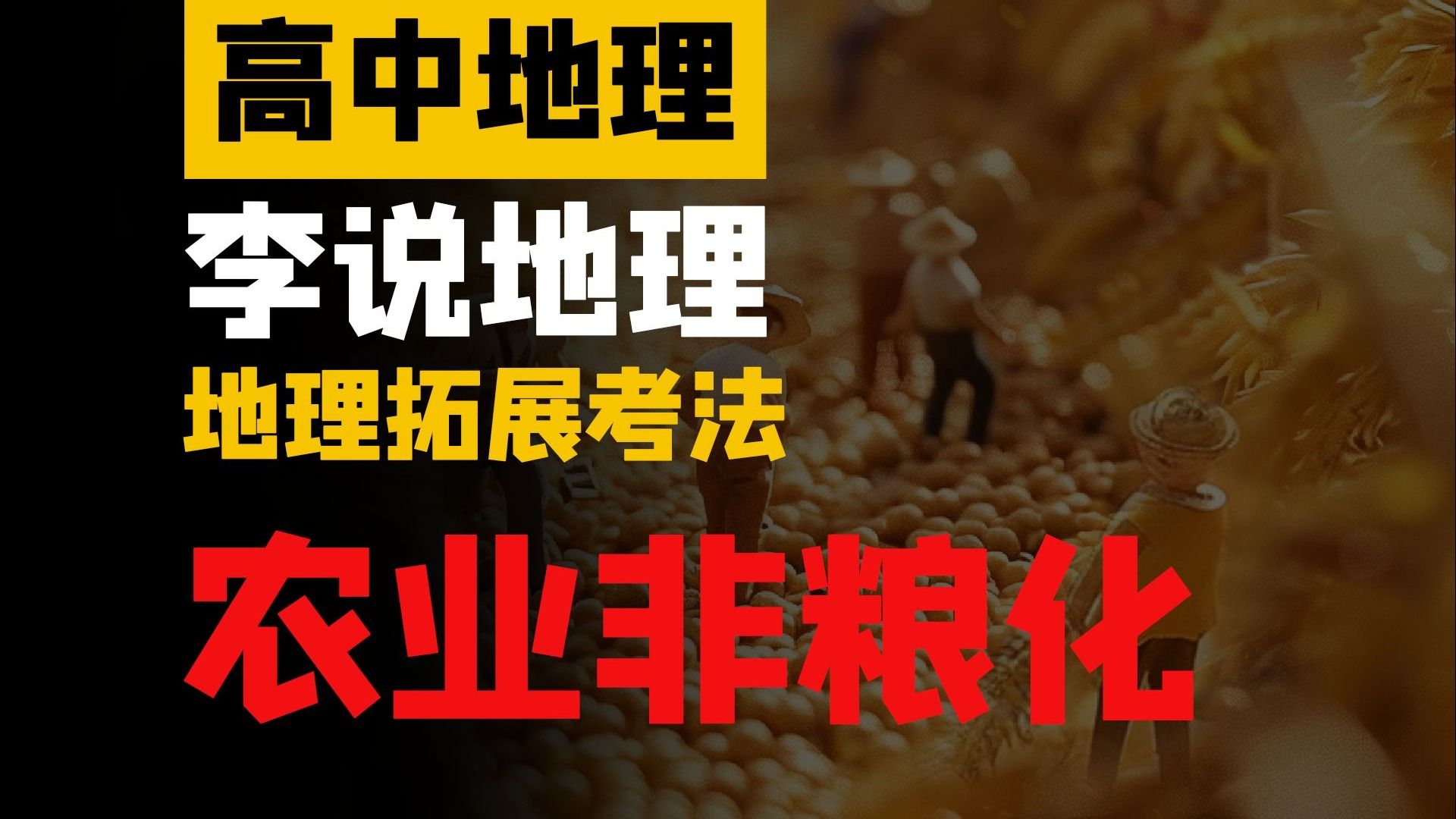 【地理拓展】农业非粮化