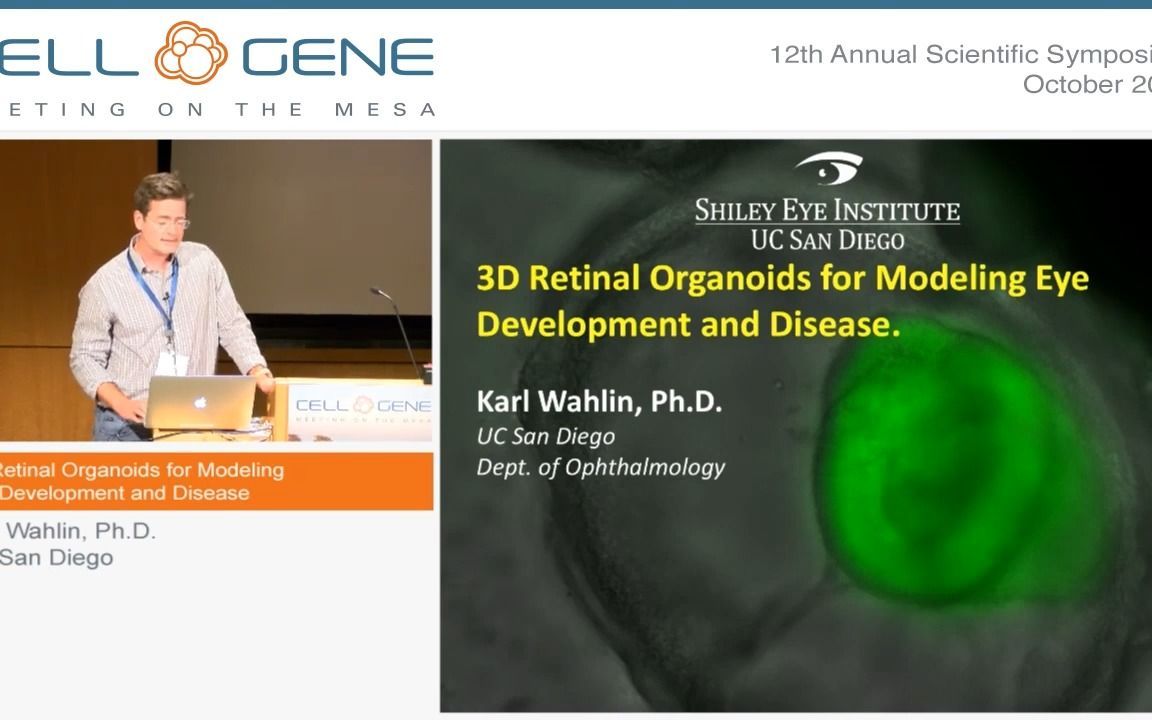 3D Retinal Organoids for Modeling Eye Development and Disease - 3D视网膜类器官
