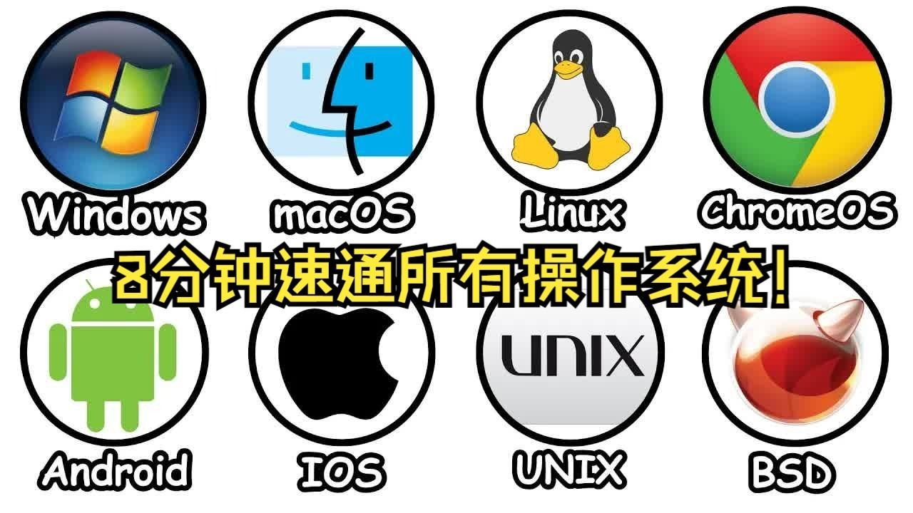 【双语视界】【8分钟速通所有操作系统！】Windows、MacOS、Linux…你用的系统上榜了吗？优缺点全解析！