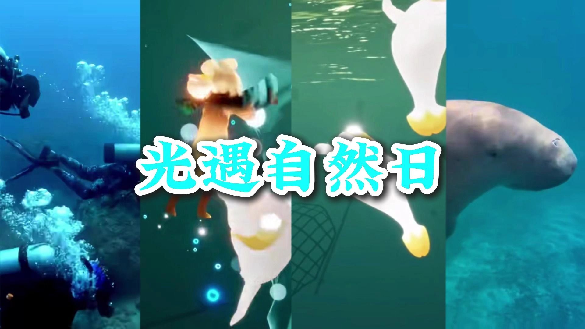 【光遇燃向混剪】“尊重自然，顺应自然，保护自然。”