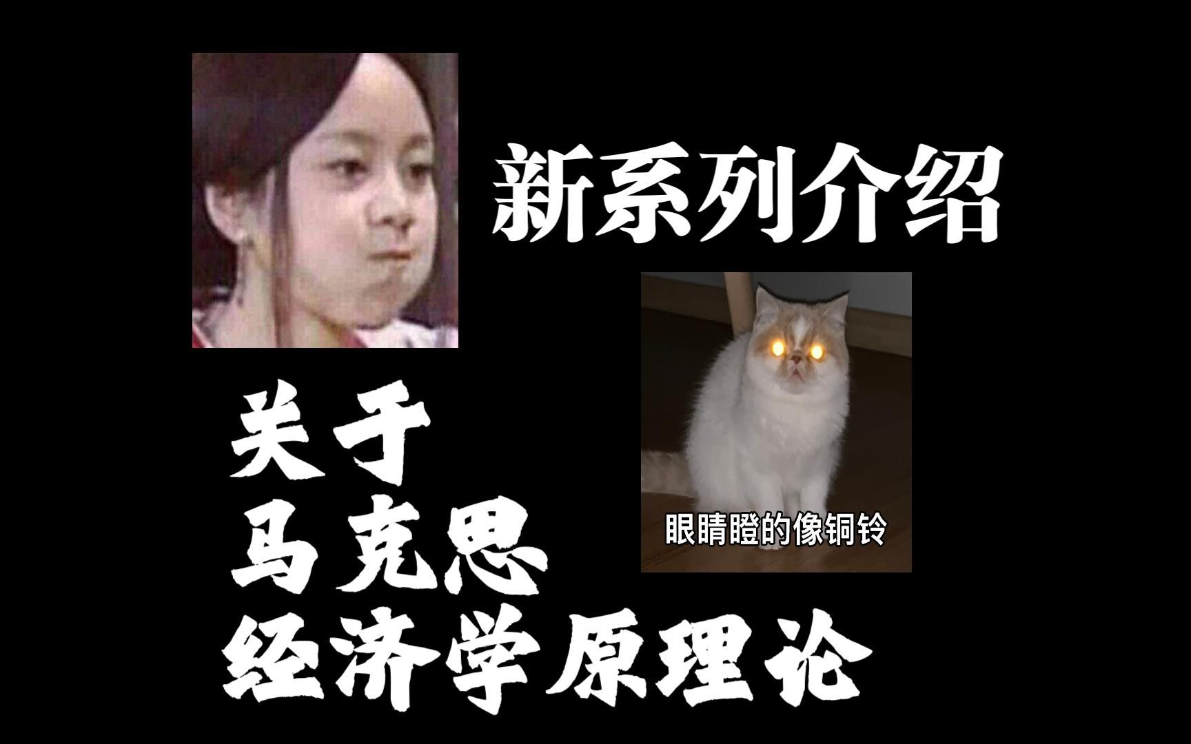 【理论系列】马克思经济学原理论（1）：系列介绍
