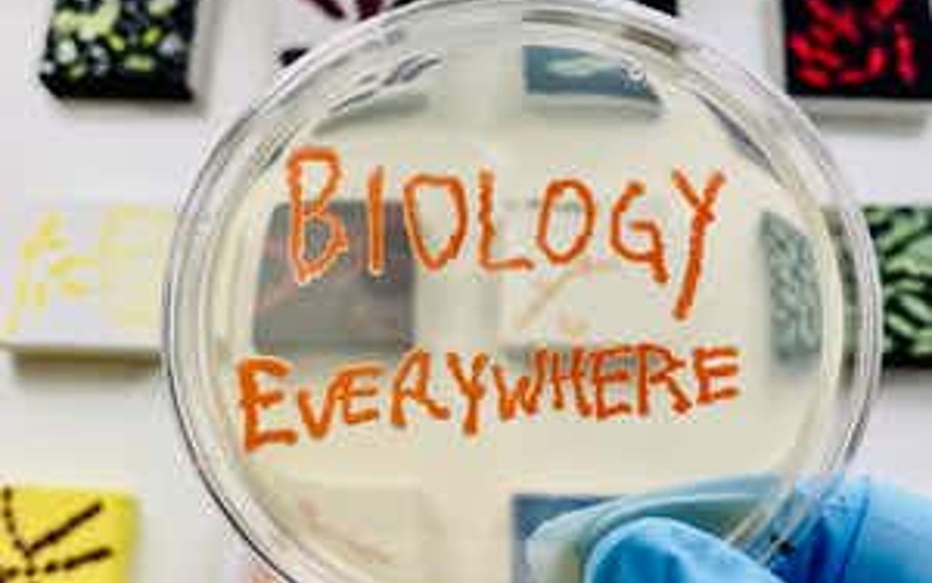 Biology Everywhere part 3: the big stuff-evolution and ecology