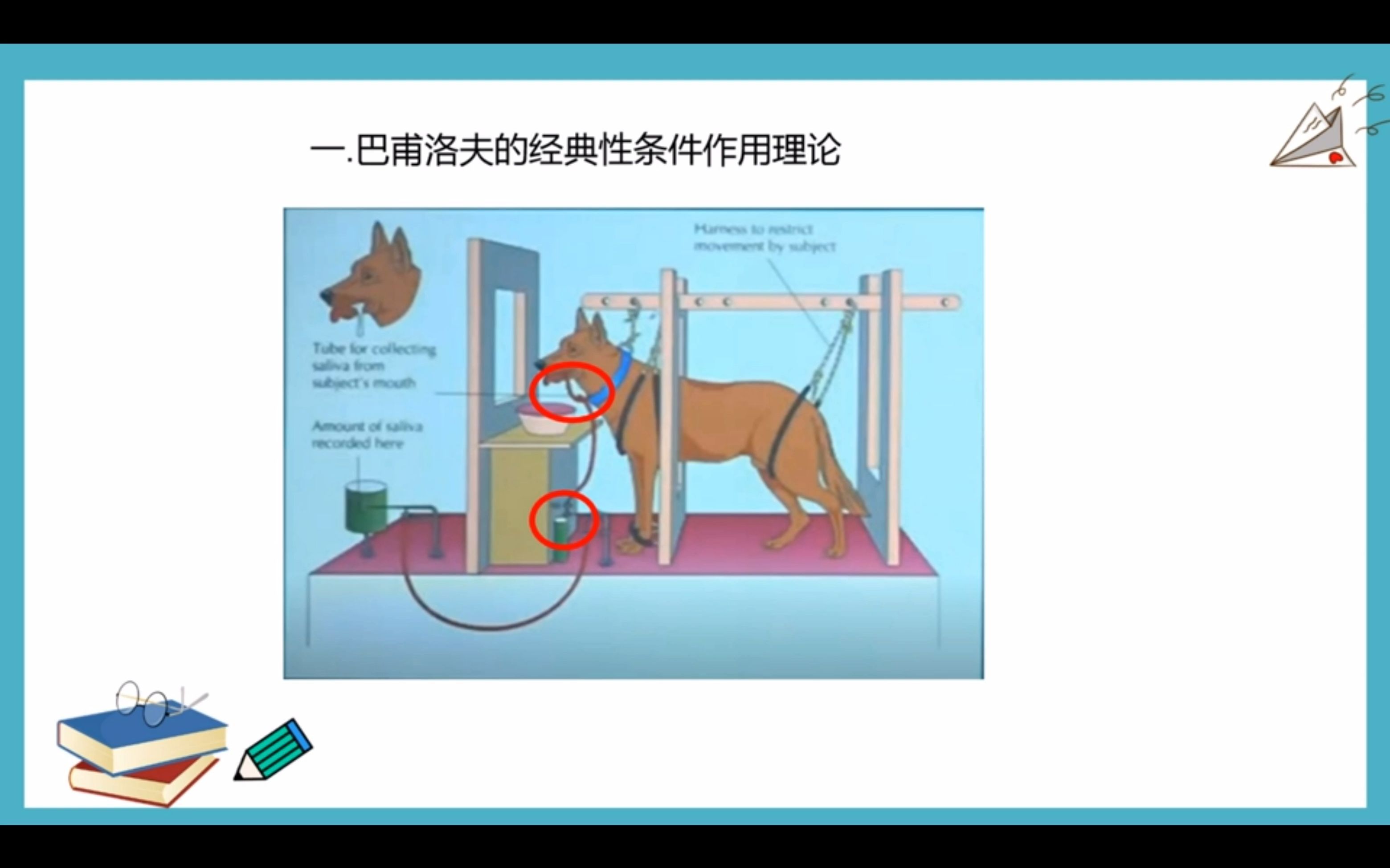 63 行为主义学习理论.mp4