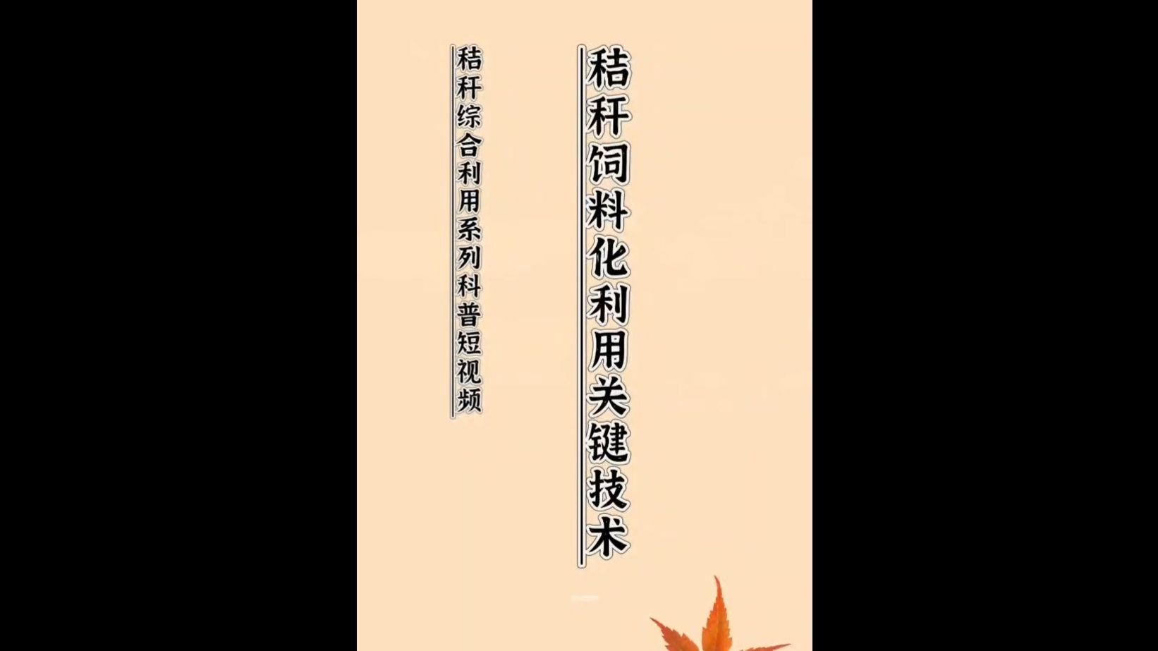 秸秆饲料化利用关键技术